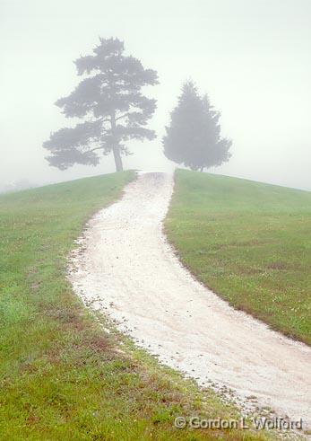 Two Trees On A Hill_17931-2.jpg - Photographed on a foggy morning at Smiths Falls, Ontario, Canada.